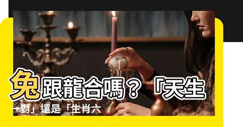 龍跟兔合嗎|龍與兔十二生肖相配：愛情與關係